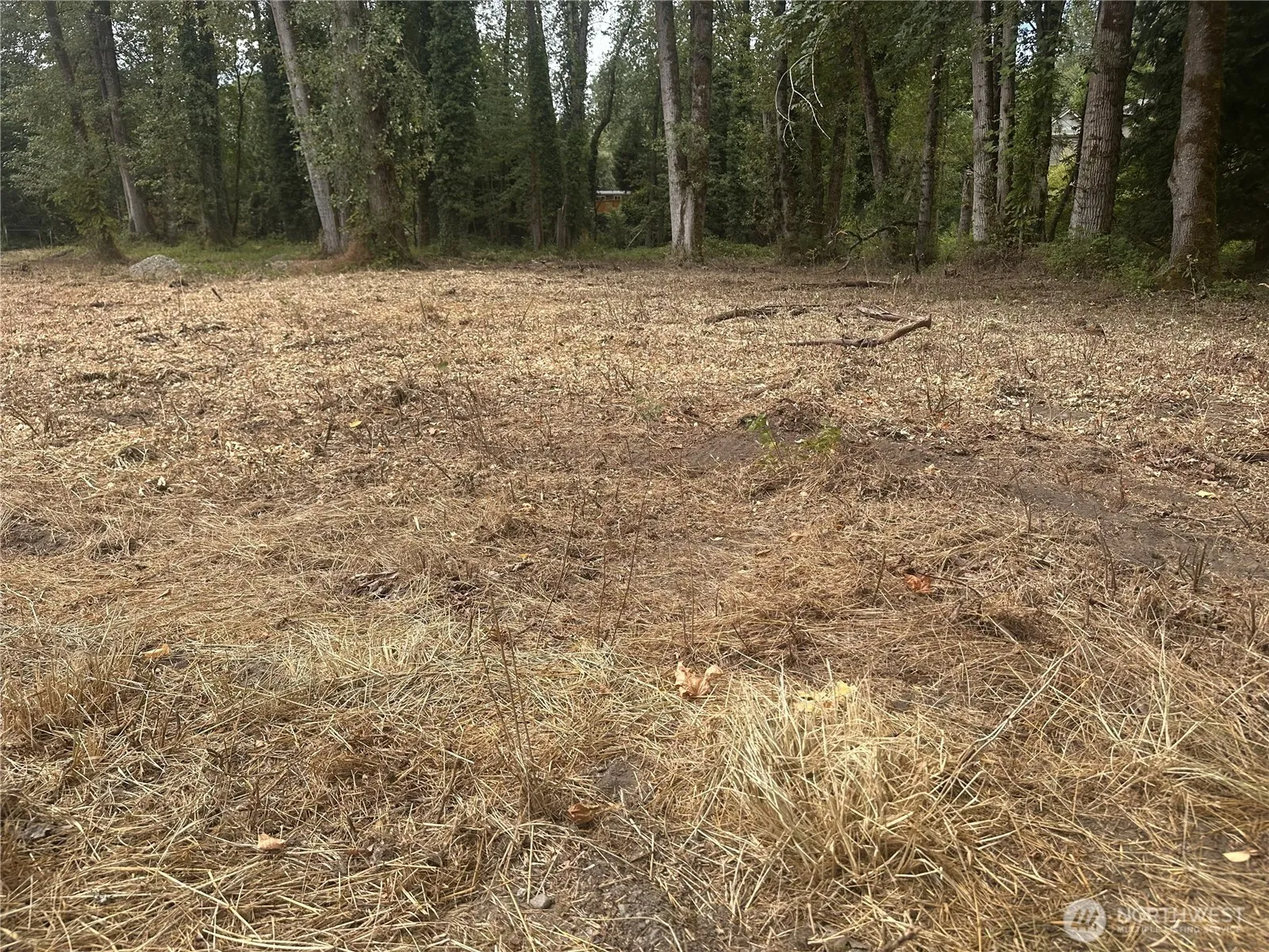 Property photo for 154 Xx Se Jones Road, Renton photo 2