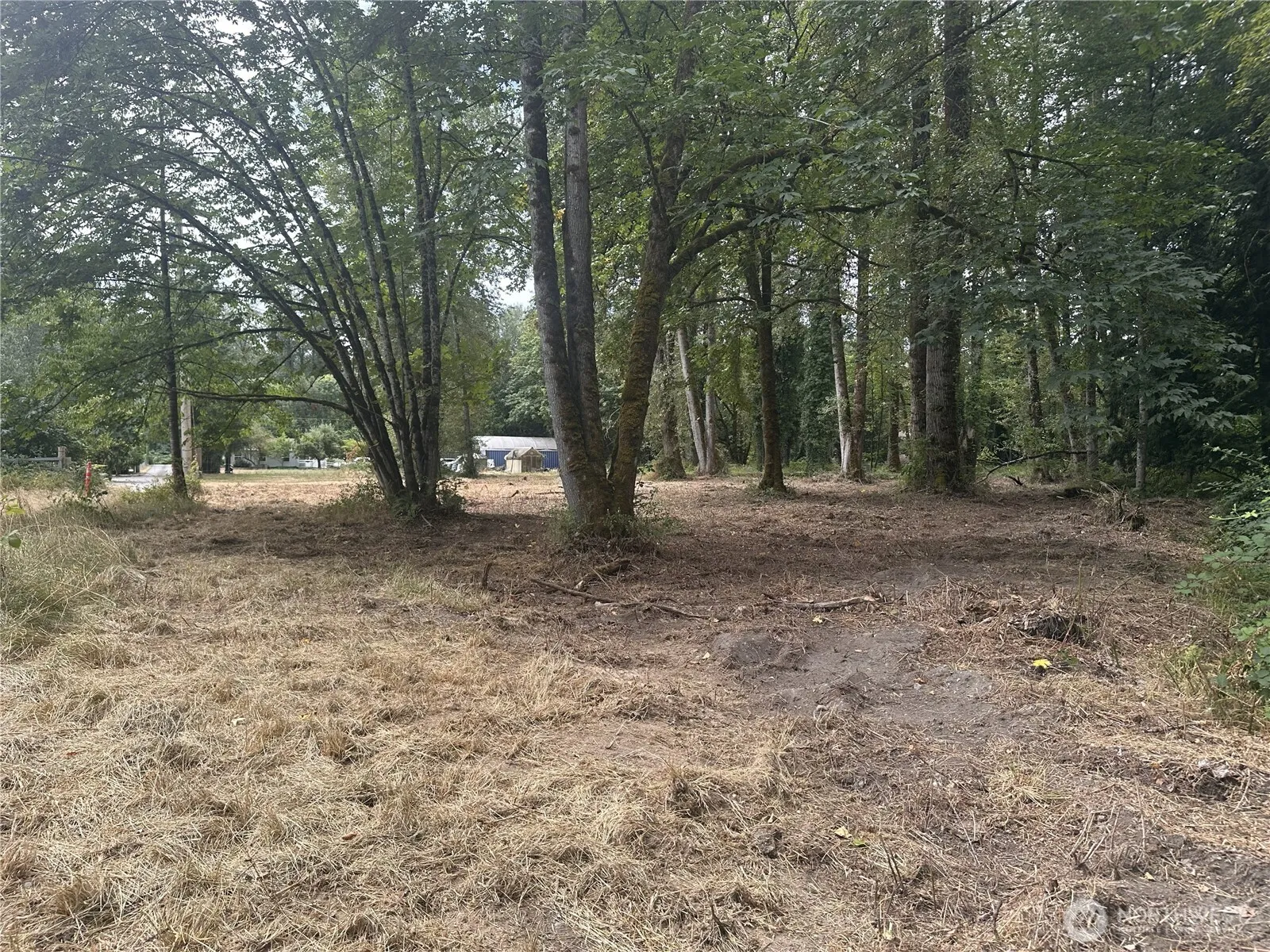Property photo for 154 Xx Se Jones Road, Renton photo 5