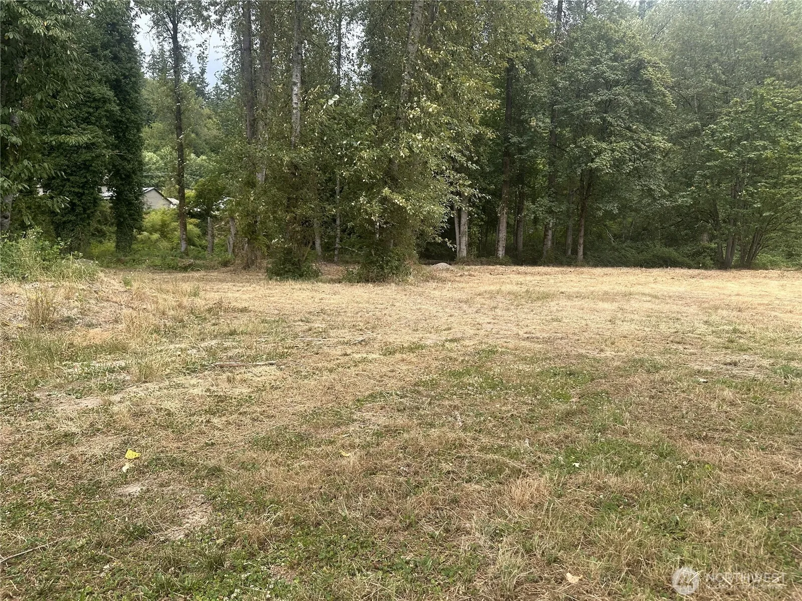 Property photo for 154 Xx Se Jones Road, Renton
