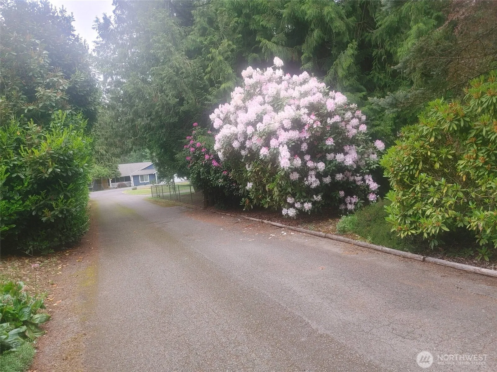 Property photo for 5017 143rd Street E, Tacoma photo 2