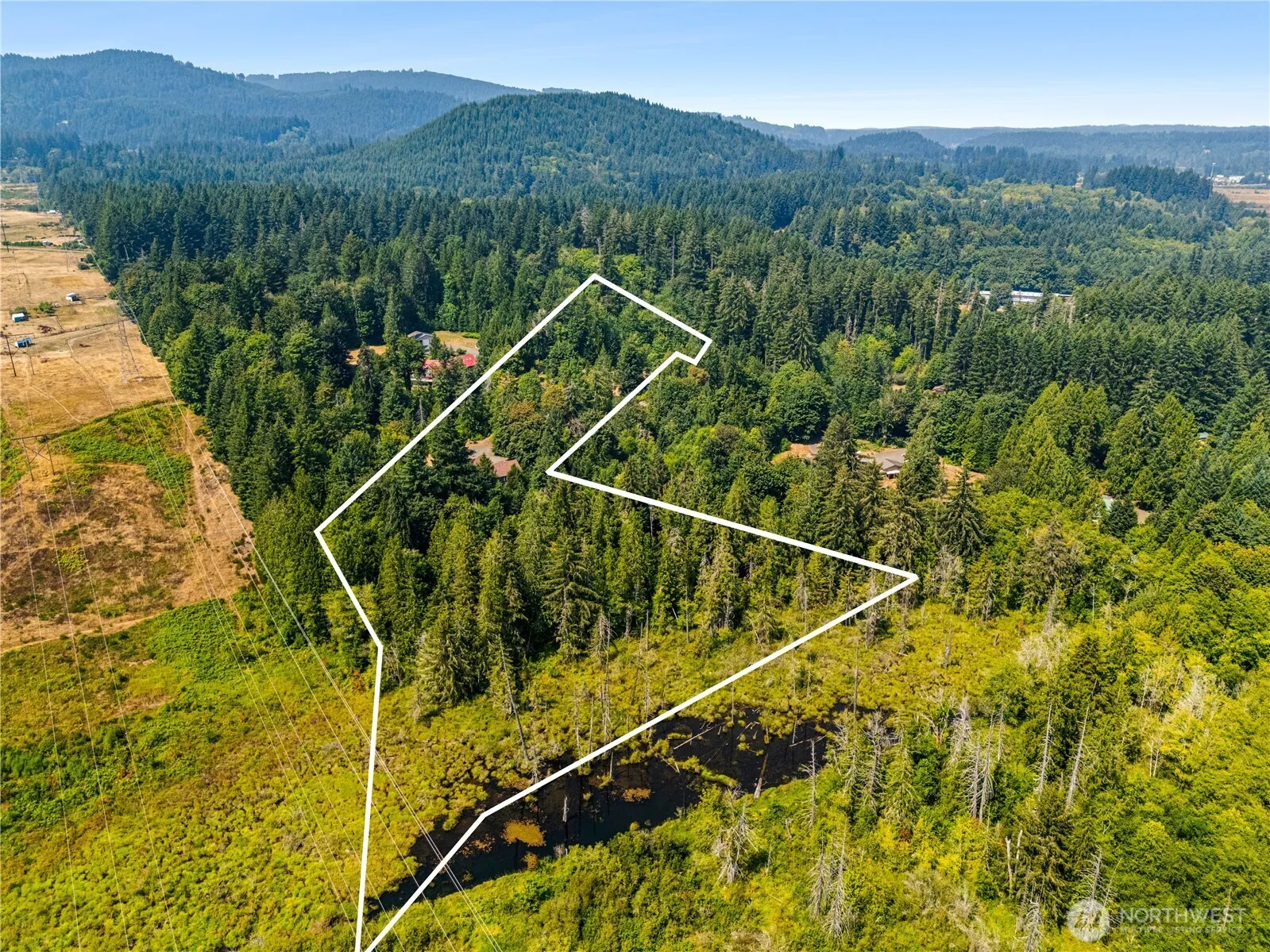 Property photo for 5633 Cedar Flats Road Sw, Olympia photo 5