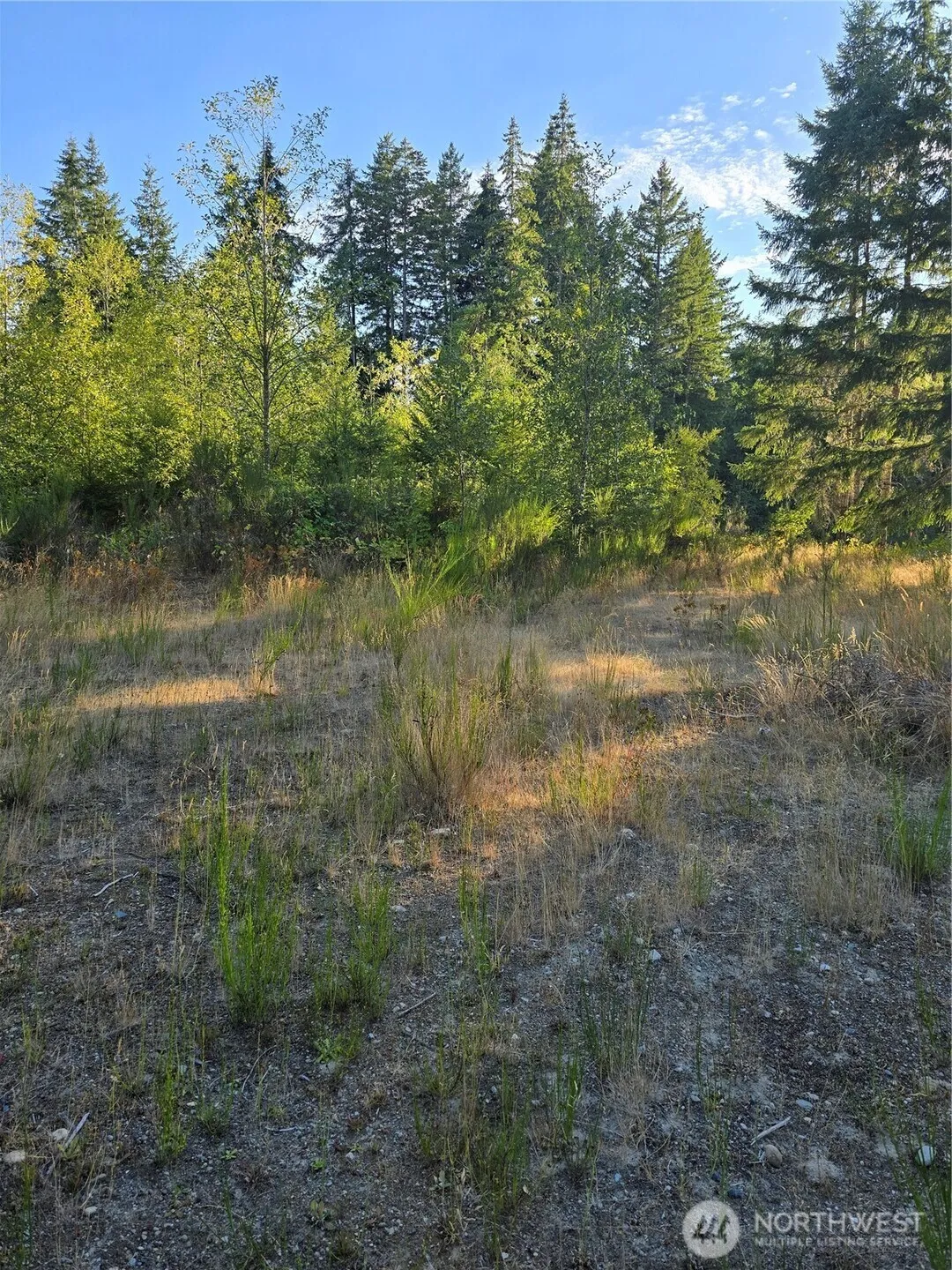 Property photo for 14506 106th Street Ct Nw, Gig Harbor photo 4