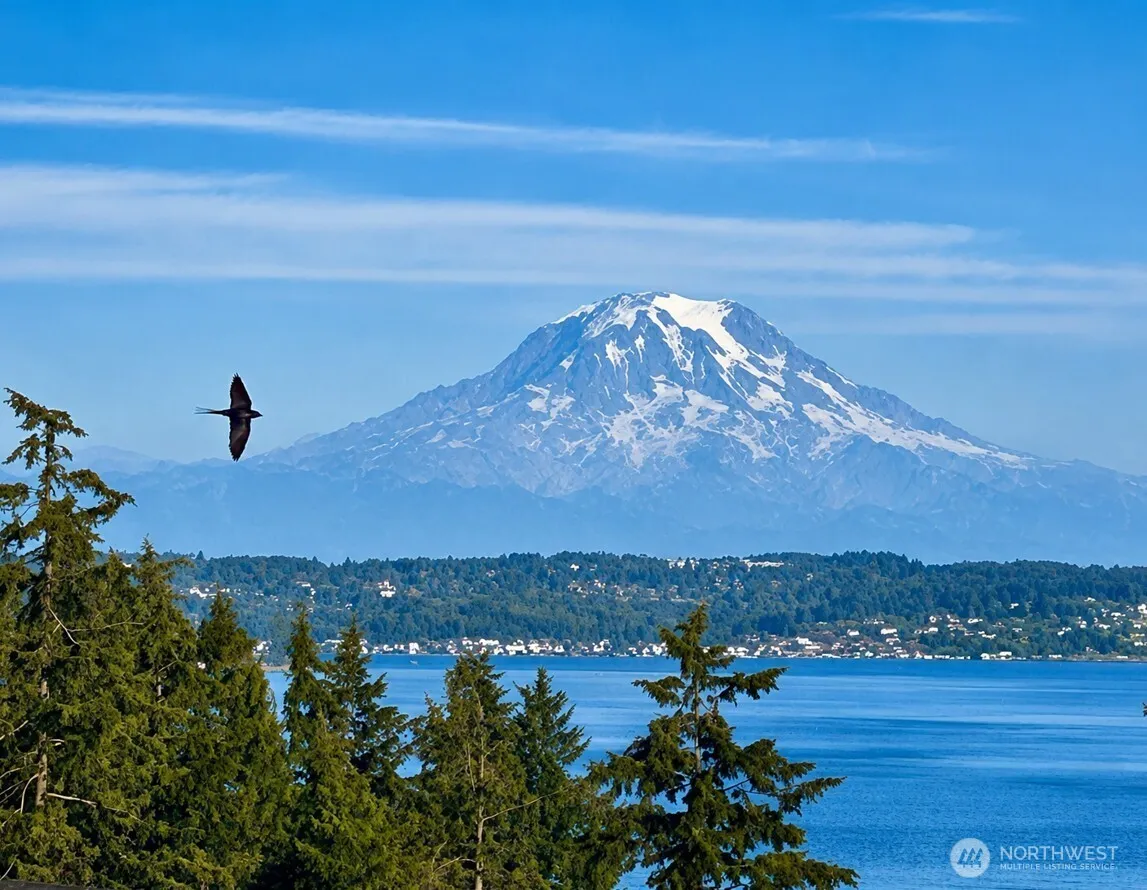 Property photo for 8818 30th Street Ct Nw, Gig Harbor