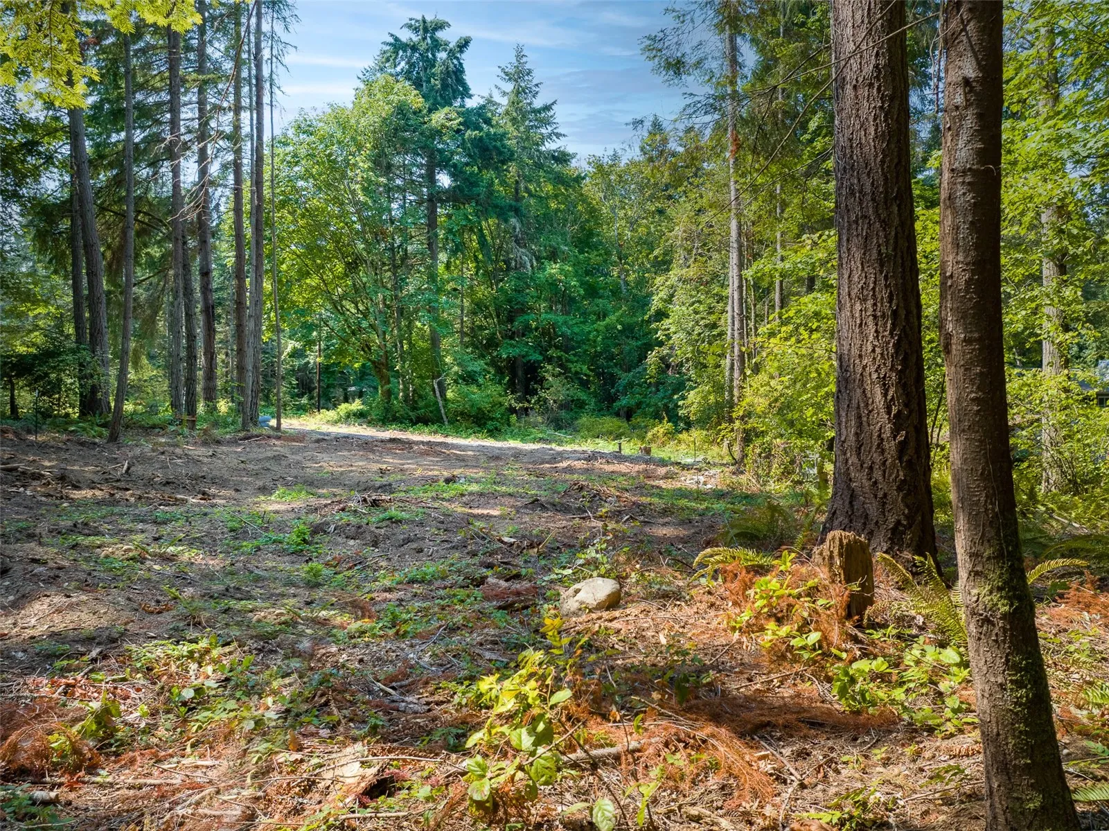 Property photo for 9998 Ne Lofgren Road, Bainbridge Island photo 4