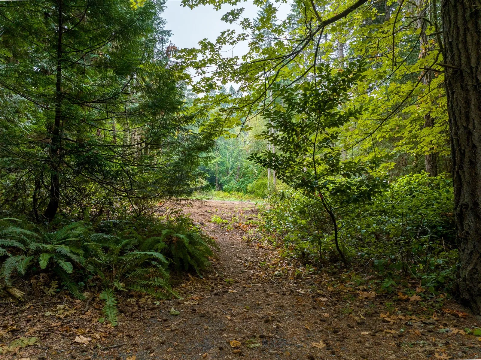 Property photo for 9998 Ne Lofgren Road, Bainbridge Island
