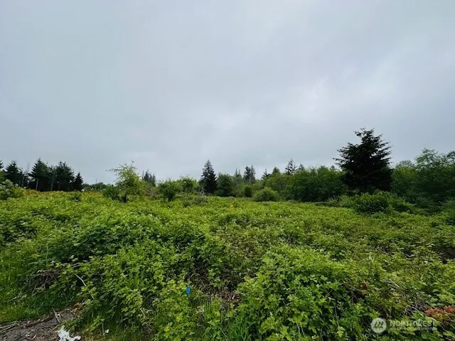 Property photo for 4311 Bethel Road Se, Port Orchard photo 2