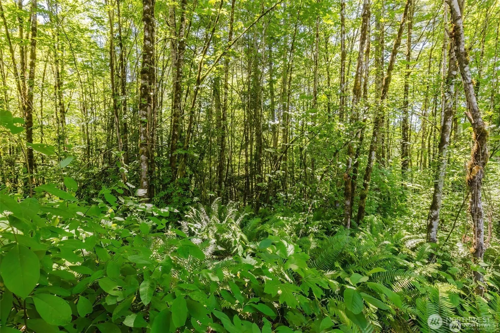 Property photo for 11 Lot Cassie Place Nw, Poulsbo