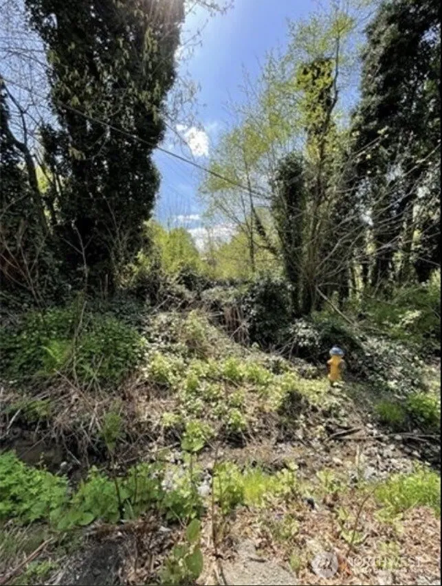 Property photo for 4700 S 109th St, Tukwila photo 3