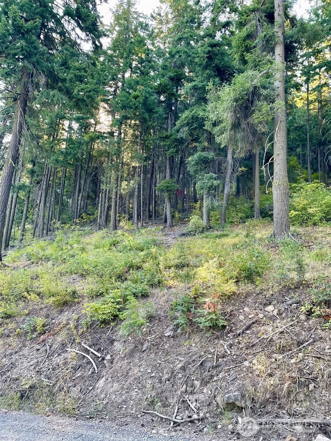 Property photo for 1290 Rodeo Road, Cle Elum
