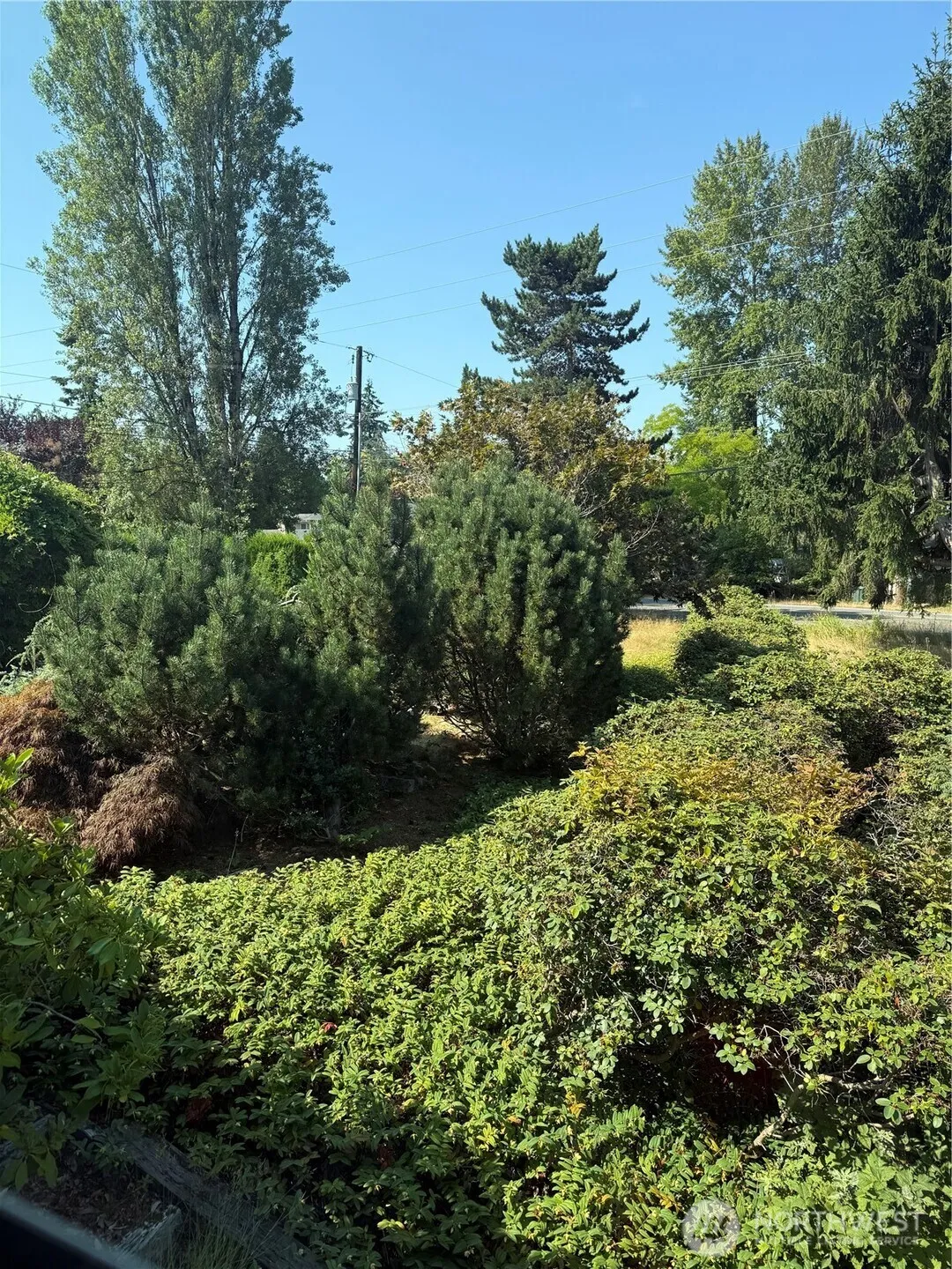 Property photo for 721 91st Avenue Se #lot 6, Lake Stevens photo 5