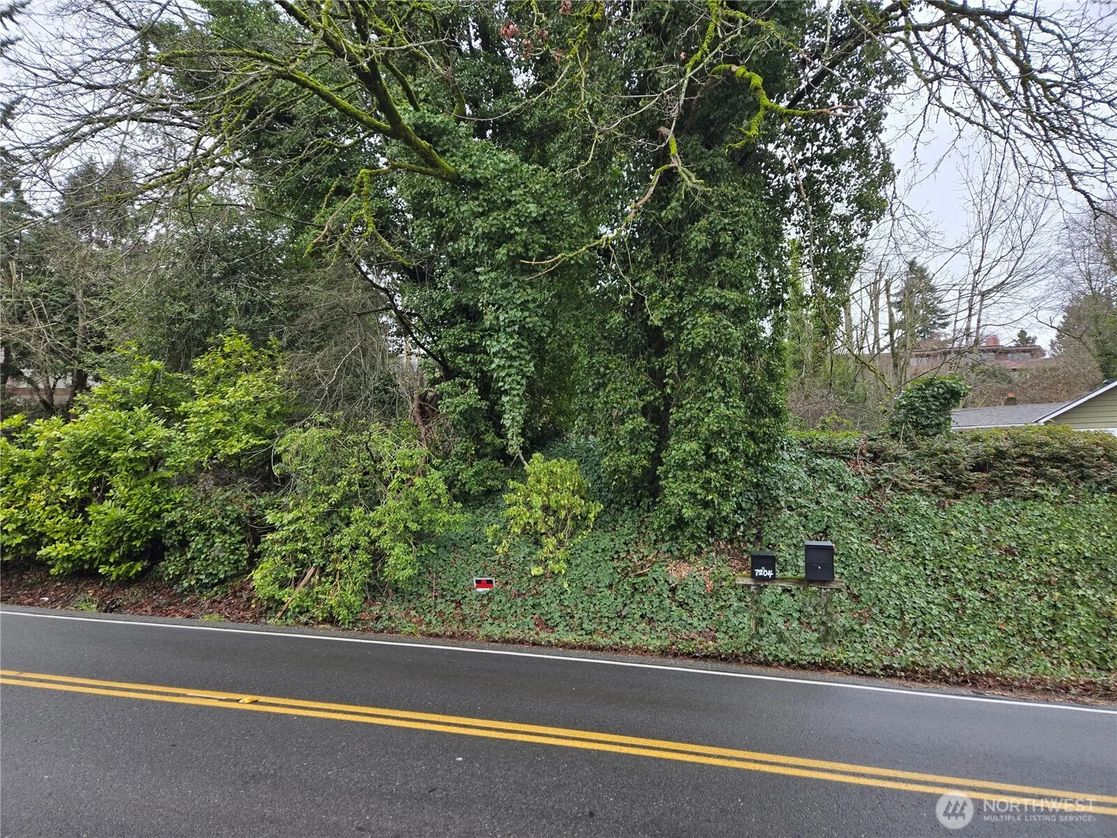 Property photo for 71 Xx S 130th Street, Seattle photo 5