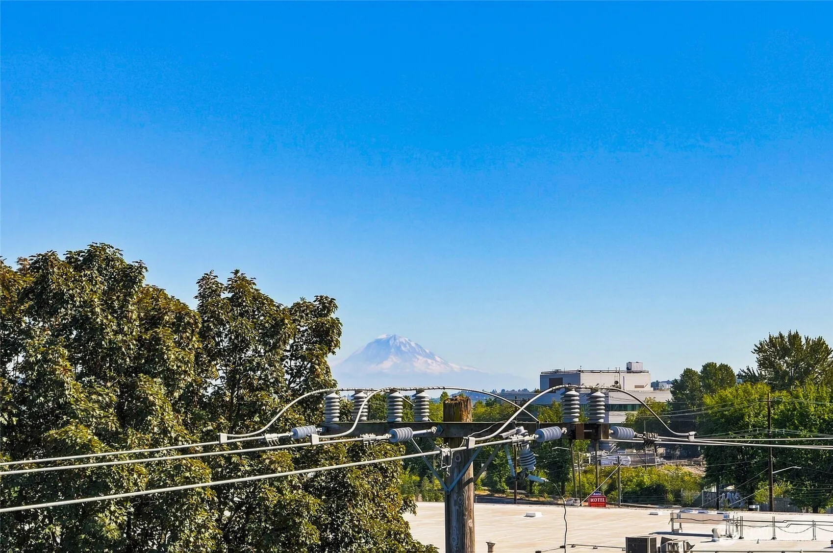 Property photo for 6945 Ellis Avenue S, Seattle photo 5