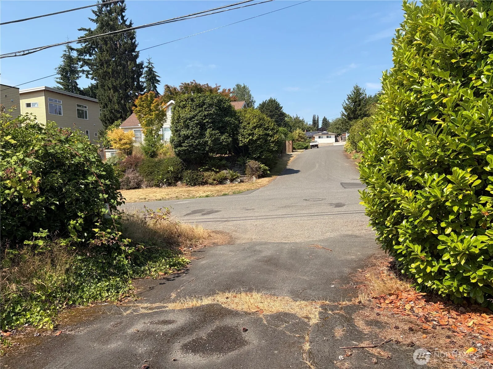 Property photo for 11334 Corliss Avenue N, Seattle photo 3