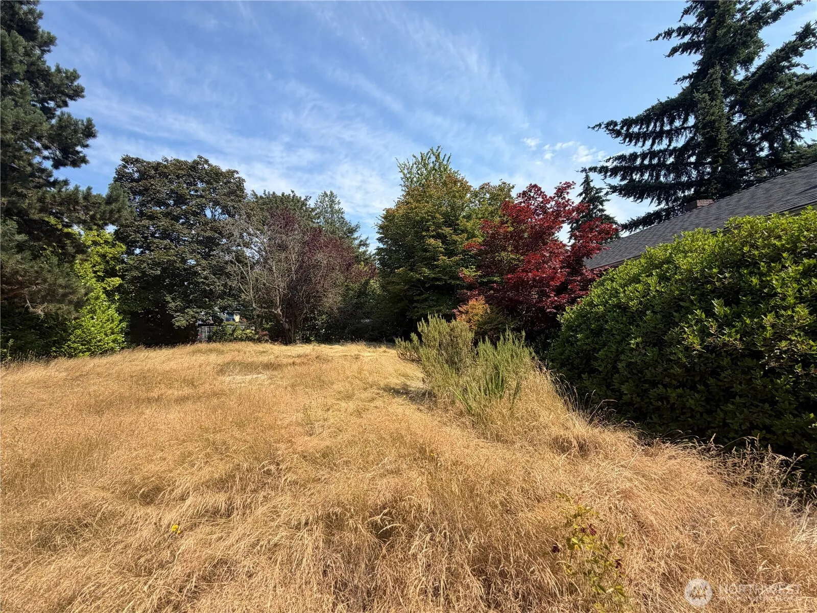 Property photo for 11334 Corliss Avenue N, Seattle photo 2