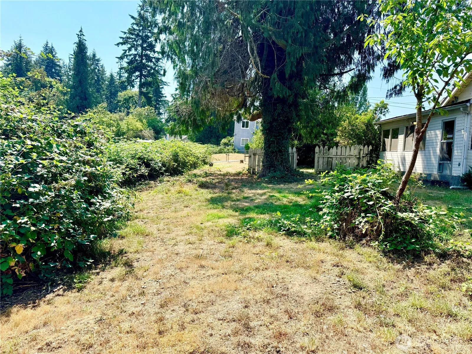 Property photo for 1919 Guy Wetzel Road, Port Orchard photo 5