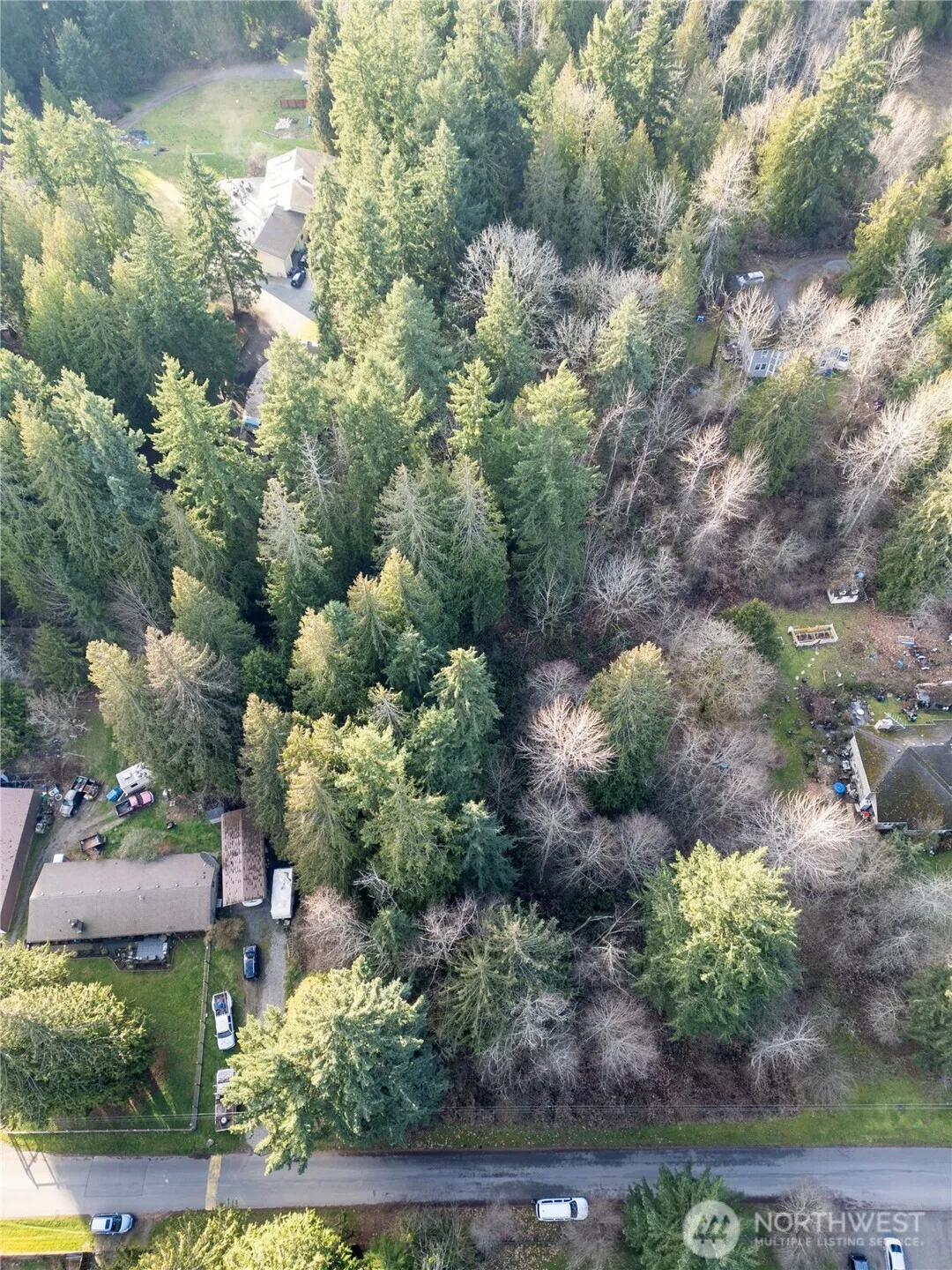 Property photo for 12102 193rd Avenue E, Bonney Lake photo 3