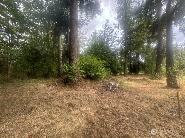 Property photo for 36852 52nd Avenue S #c-n, Auburn photo 5