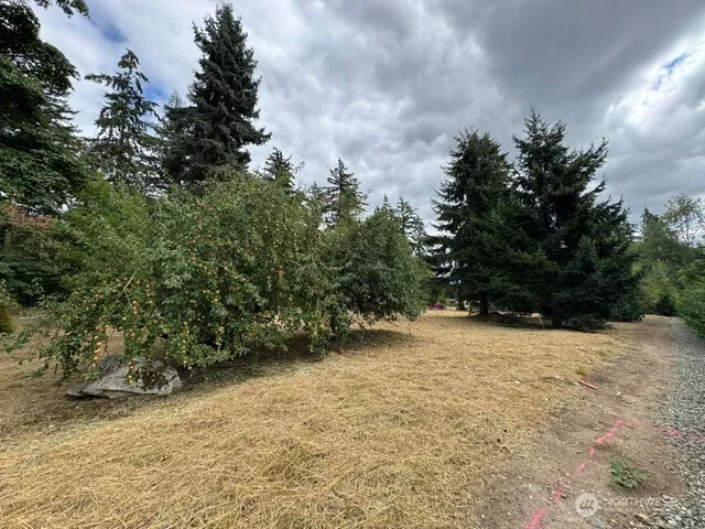 Property photo for 36852 52nd Avenue S #c-n, Auburn photo 3