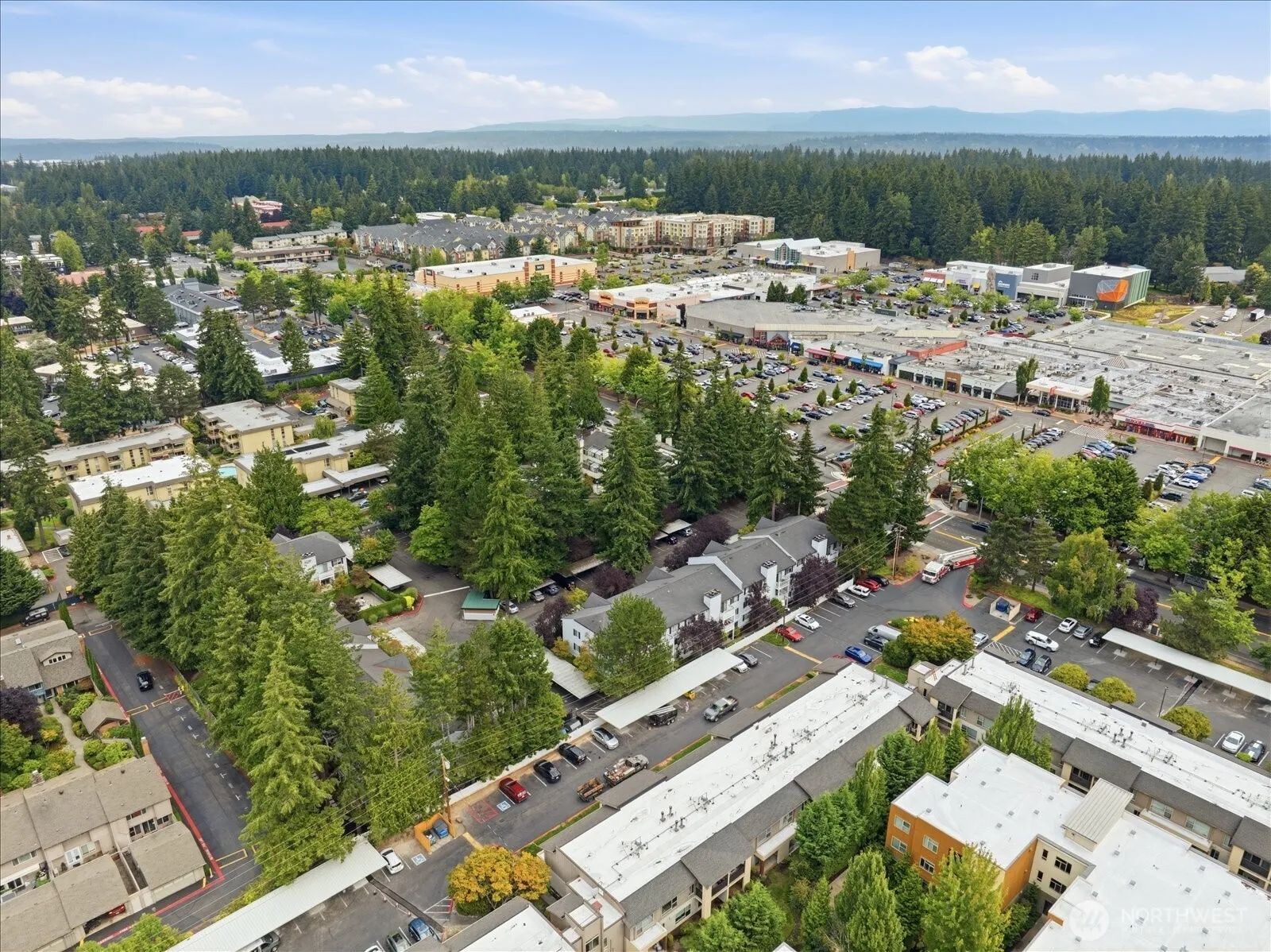 Property photo for 1011 156th Ave Ne Avenue Ne #207, Bellevue photo 2