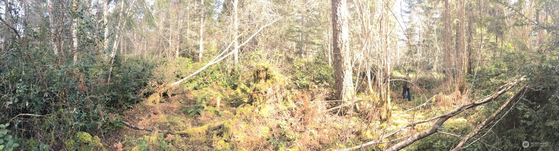 Property photo for 0 160th Avenue Nw, Gig Harbor
