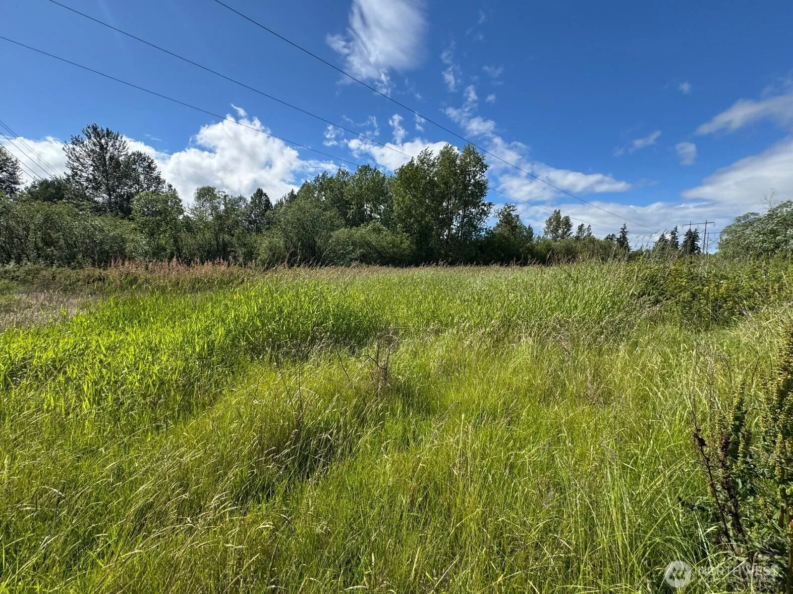Property photo for 10641 44th Avenue E, Tacoma photo 2