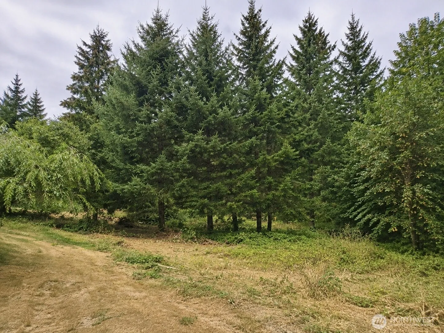 Property photo for 5240 W Werner Road, Bremerton photo 5