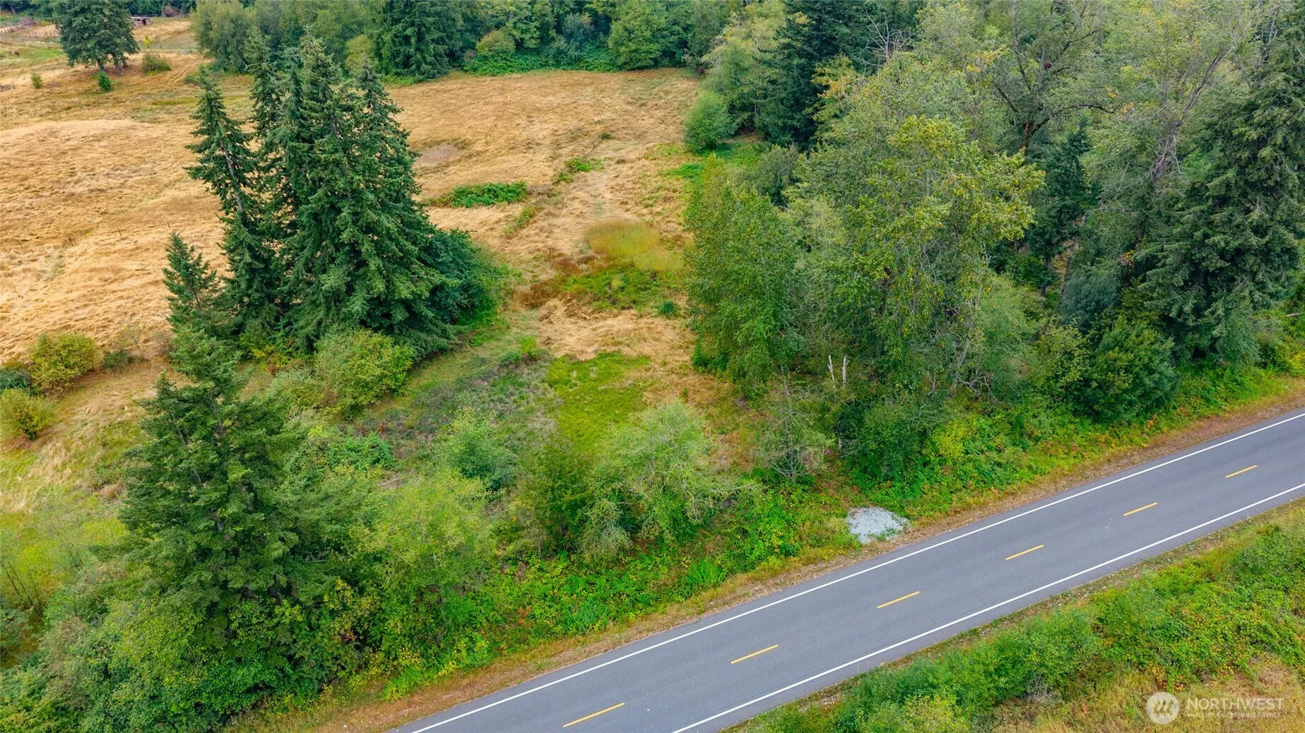 Property photo for 0 Old 99 Highway, Stanwood photo 4