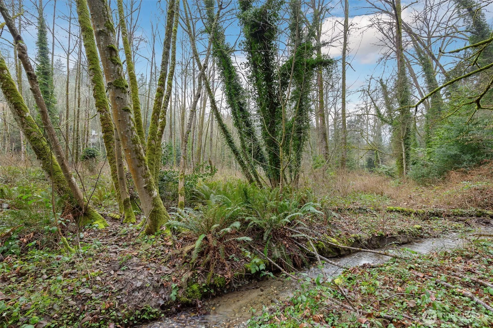 Property photo for 16 Xxx 76th Place Ne, Kenmore