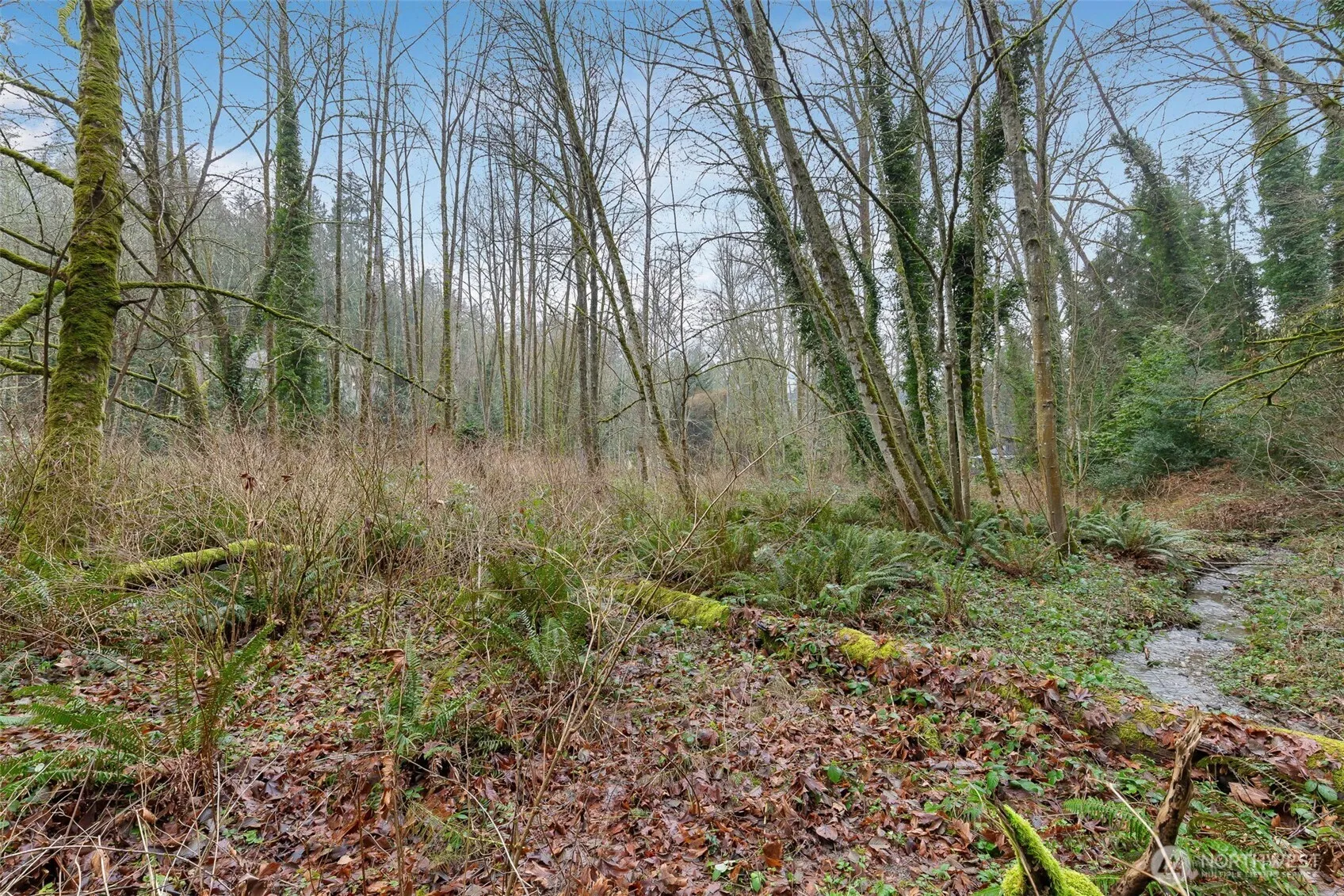 Property photo for 16 Xxx 76th Place Ne, Kenmore photo 2