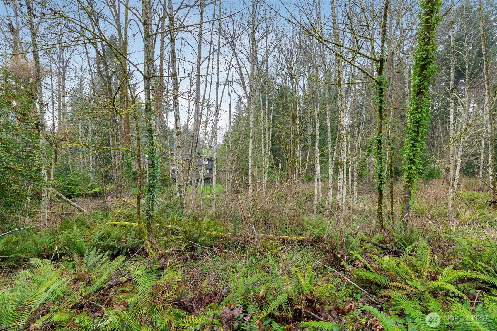 Property photo for 16 Xxx 76th Place Ne, Kenmore photo 4