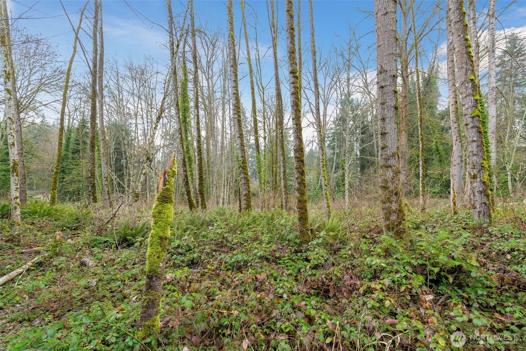 Property photo for 16 Xxx 76th Place Ne, Kenmore photo 3