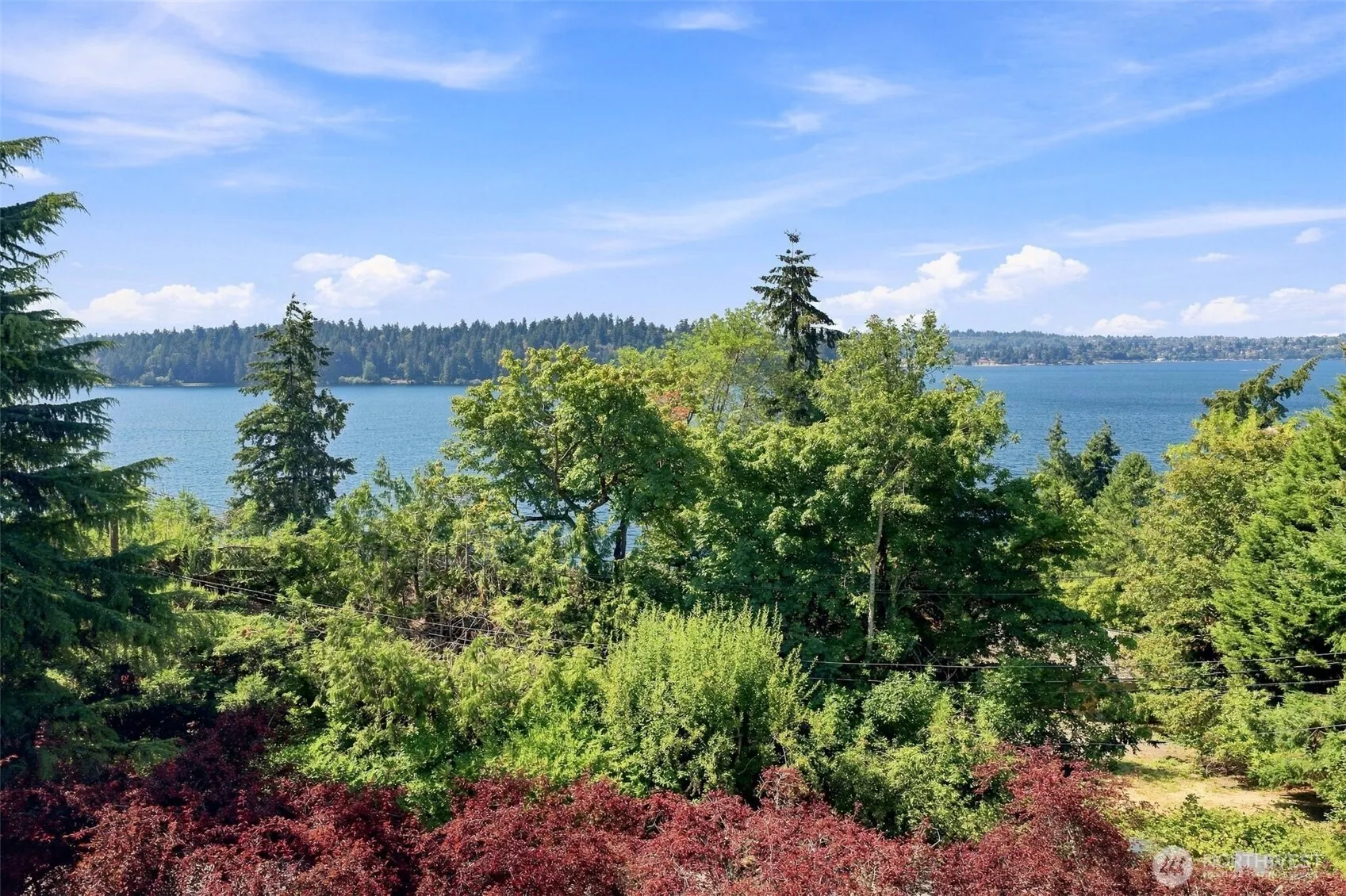 Property photo for 4715 81st Avenue Se, Mercer Island photo 3