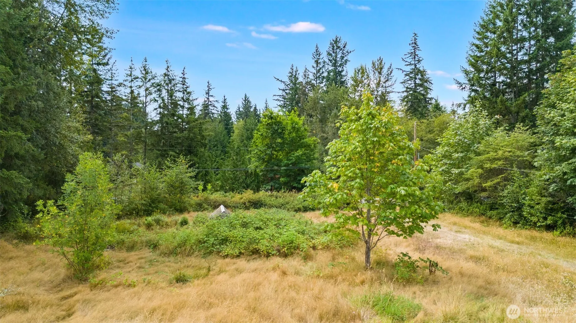 Property photo for 25006 Se 224th Street, Maple Valley photo 5