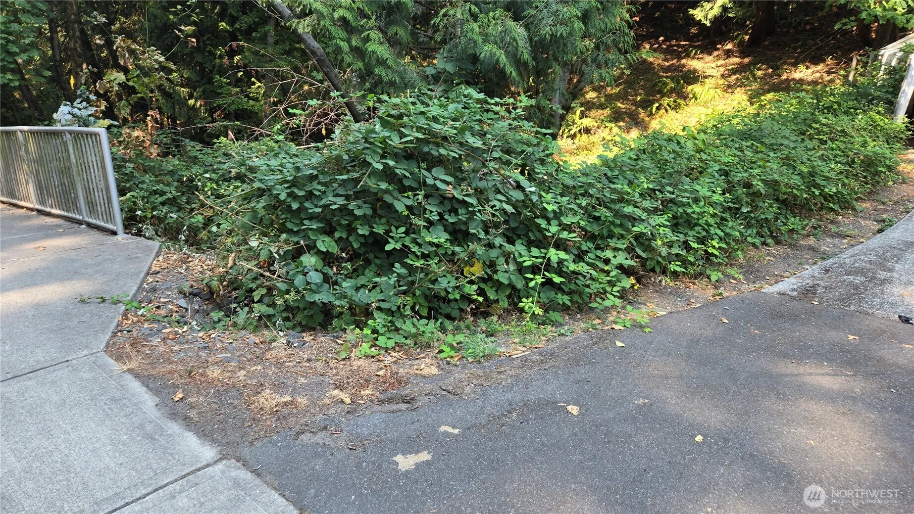 Property photo for 1320 207th Place Ne, Sammamish photo 2