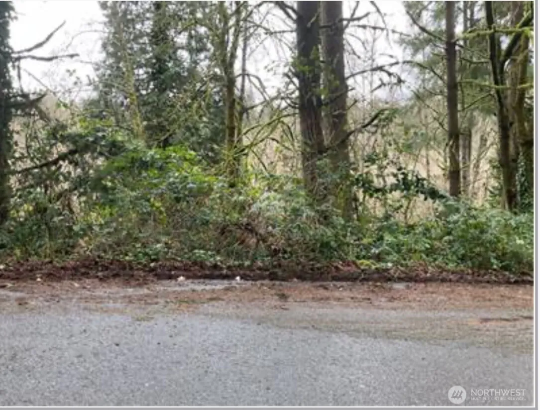 Property photo for 0 Ne 179th Street, Woodinville