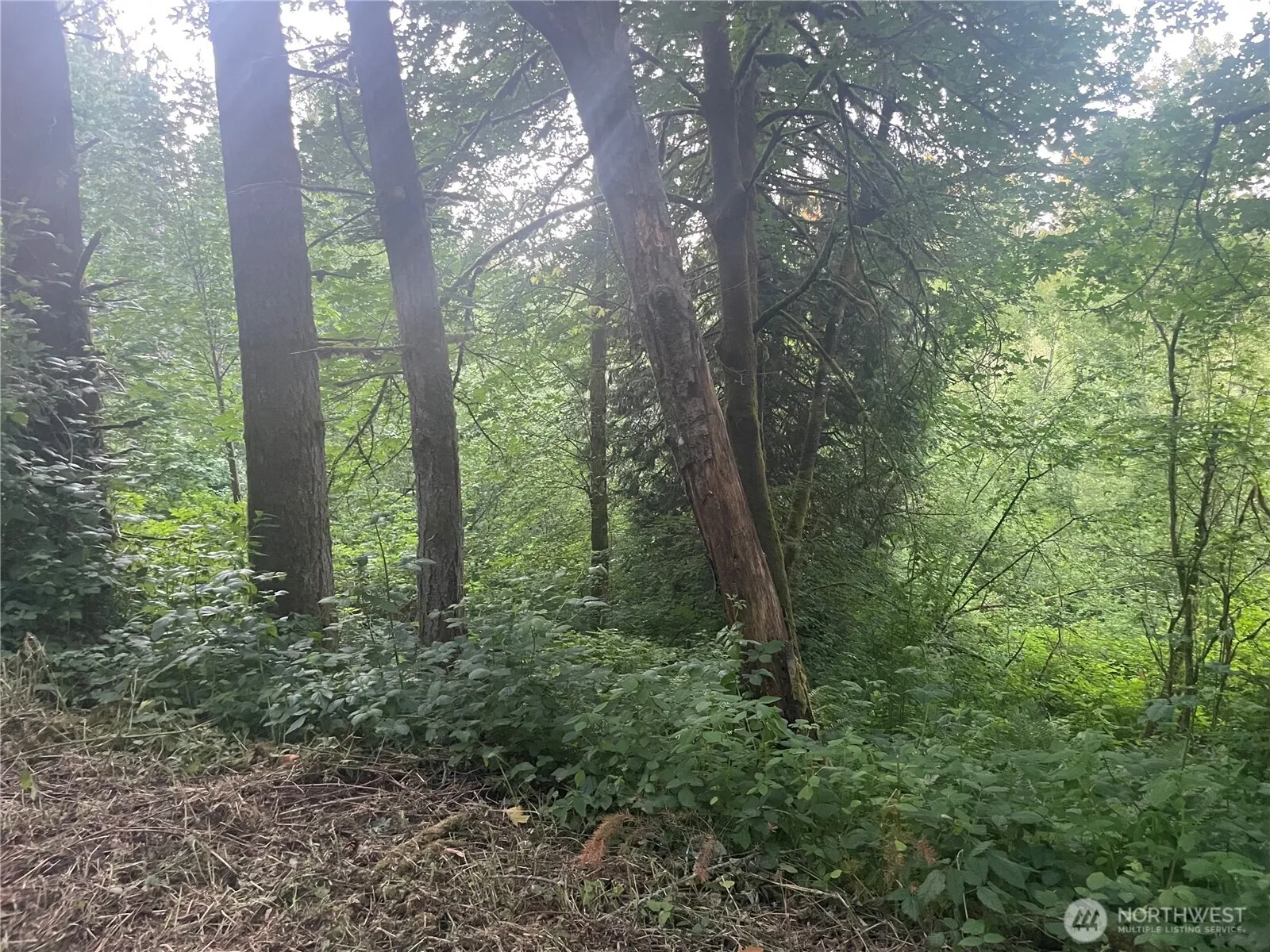 Property photo for 0 Ne 179th Street, Woodinville photo 5