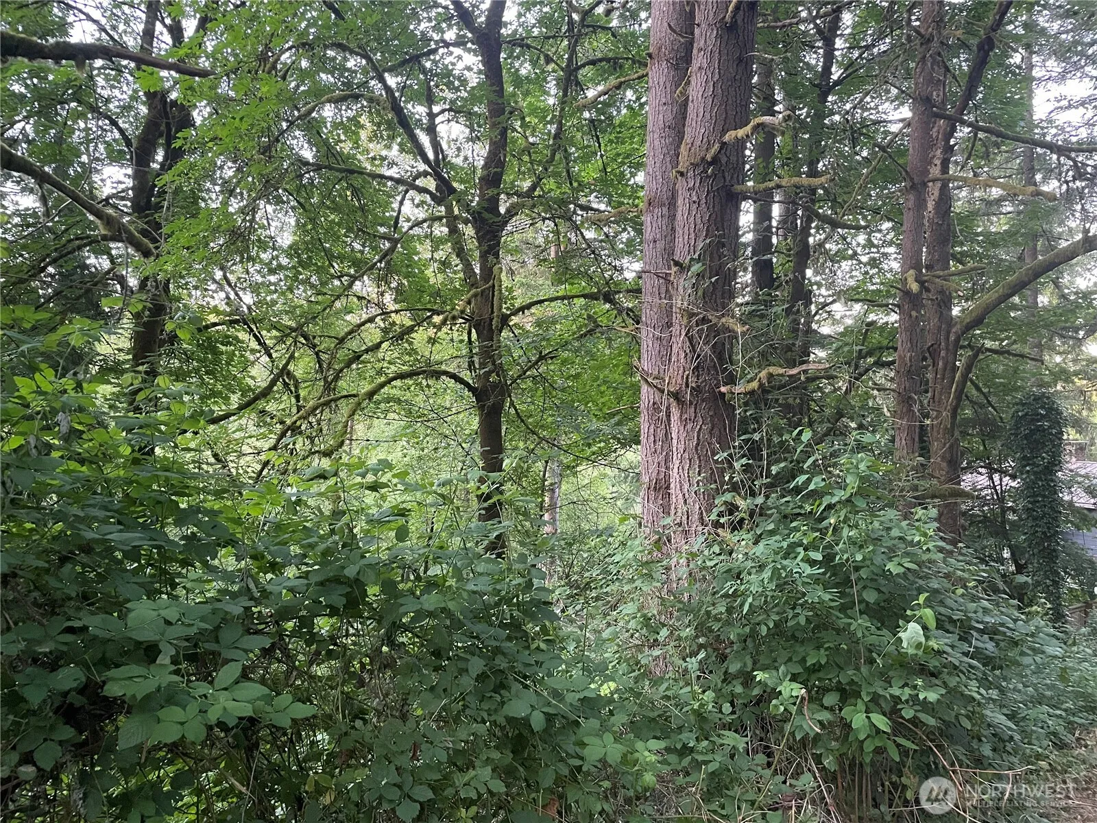 Property photo for 0 Ne 179th Street, Woodinville photo 4