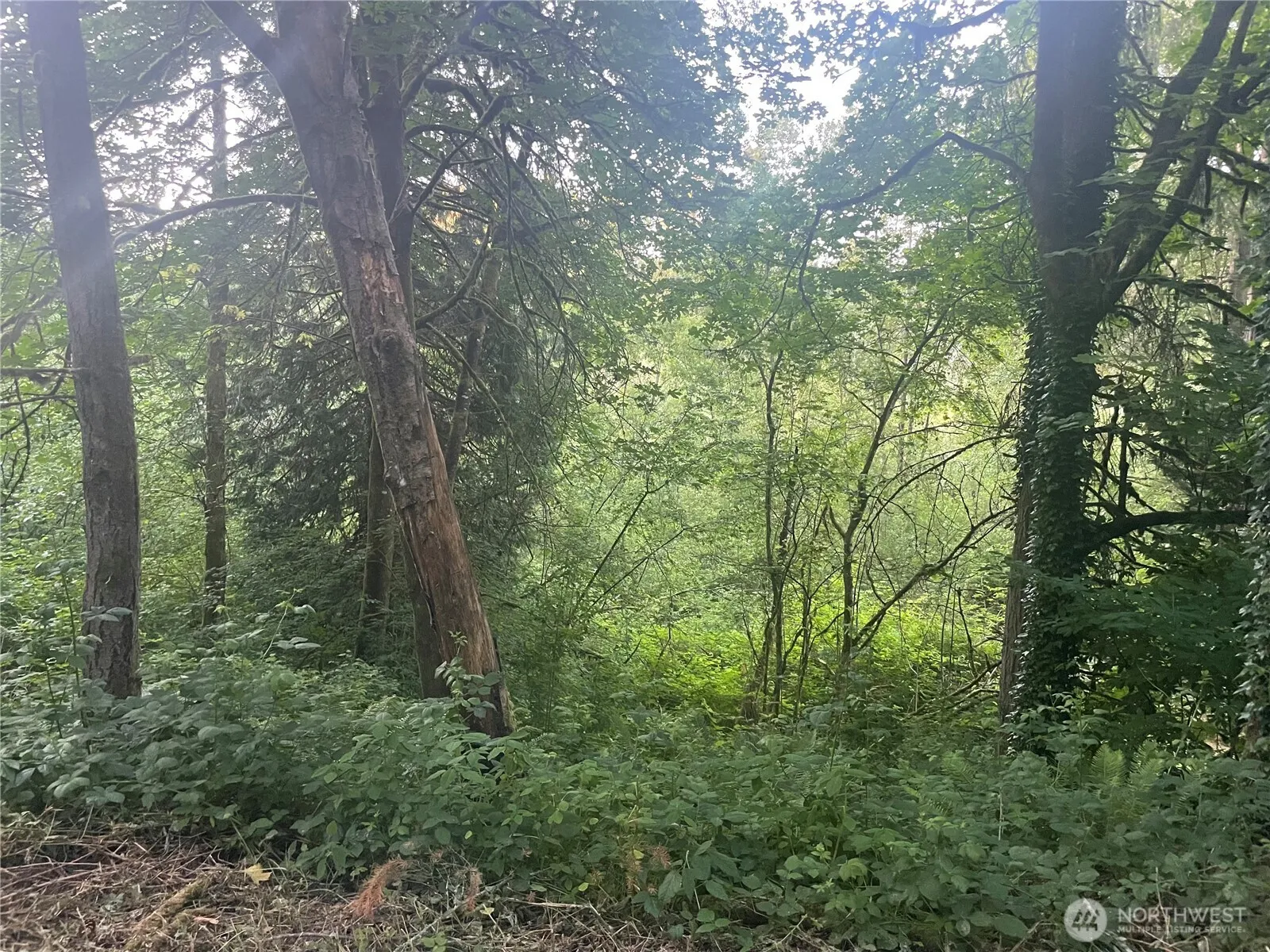 Property photo for 0 Ne 179th Street, Woodinville photo 3
