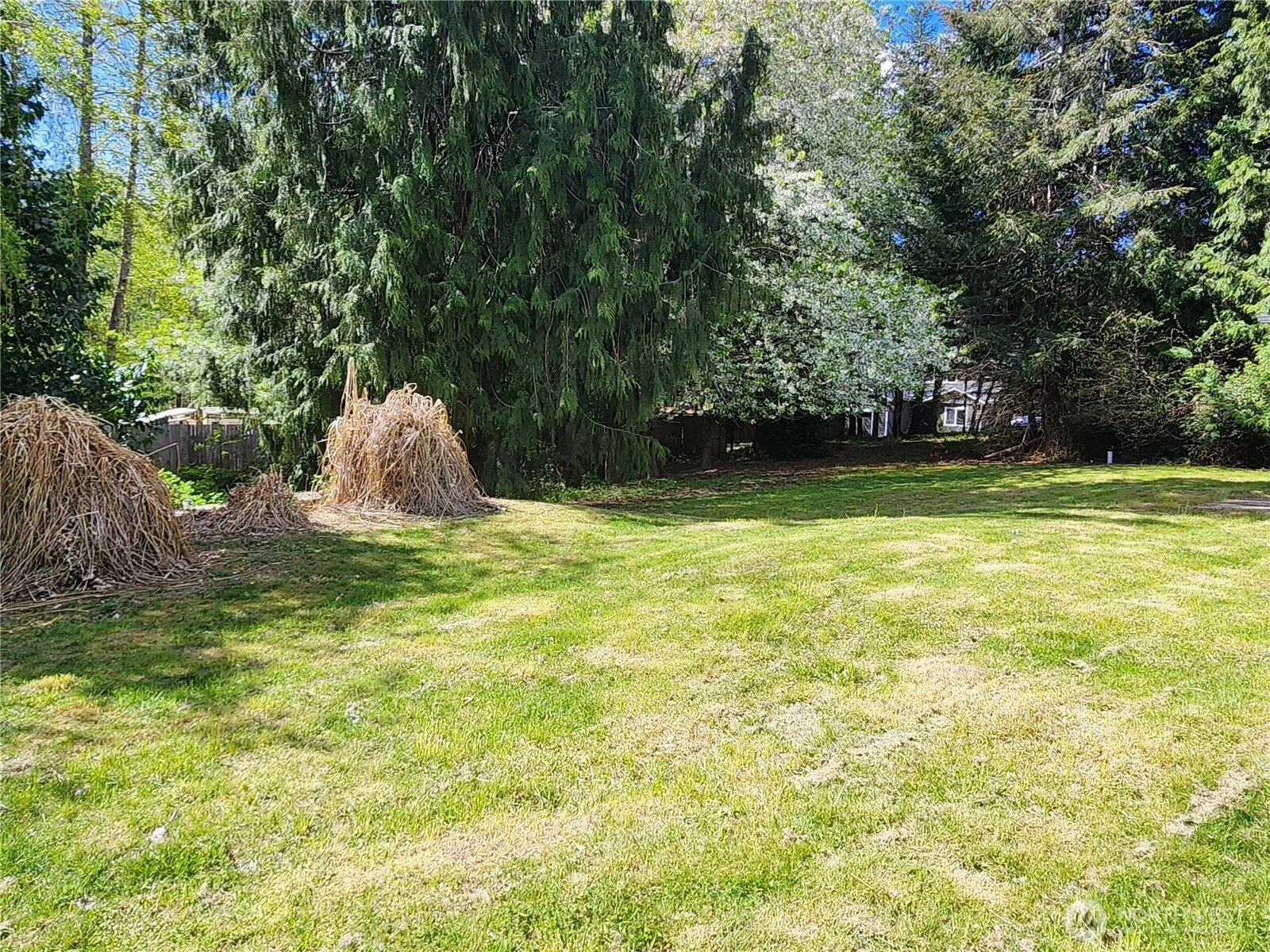 Property photo for 181 E Oakdale Street, Allyn photo 4