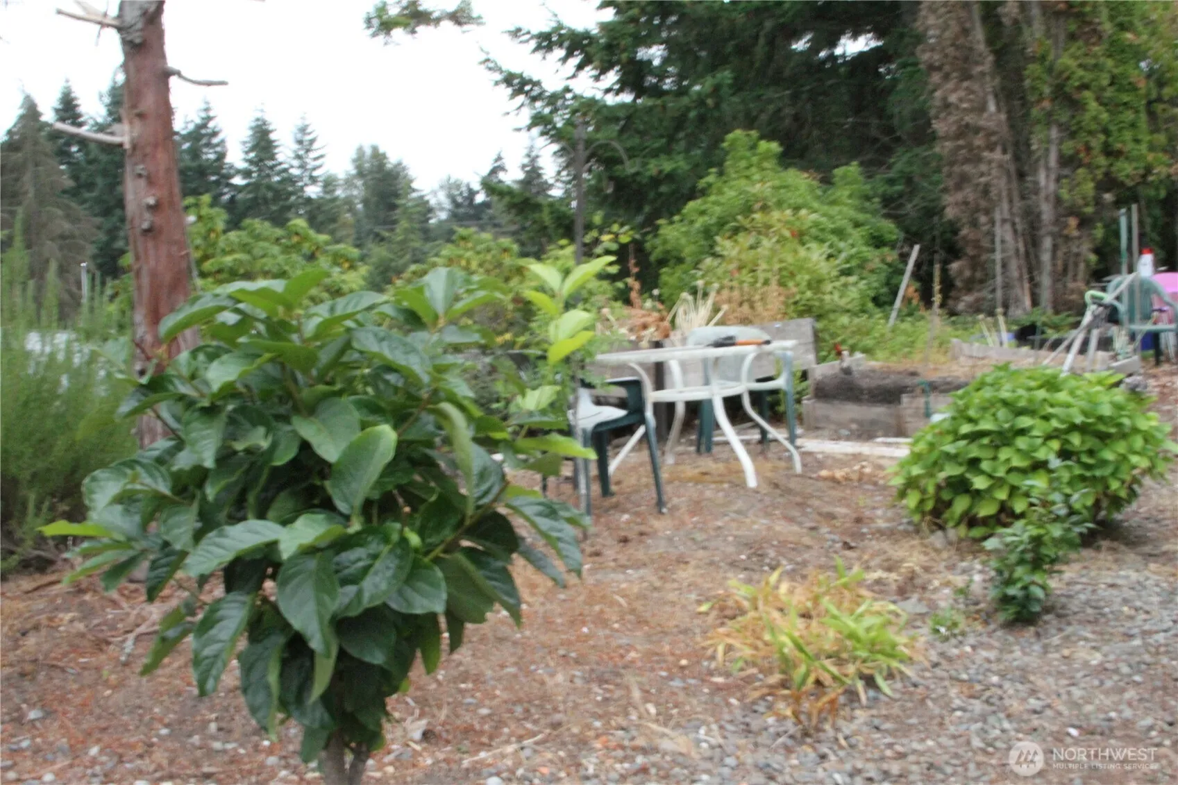 Property photo for 2500 S 370th Street #206, Federal Way photo 4