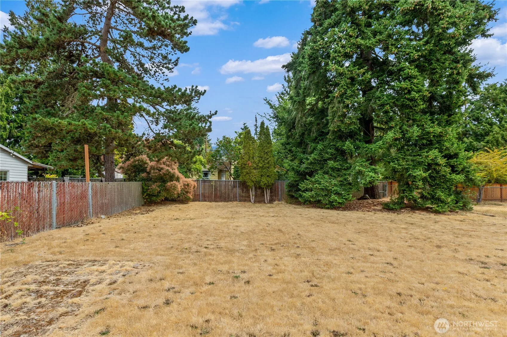 Property photo for 11032 Dayton Avenue N, Seattle photo 3