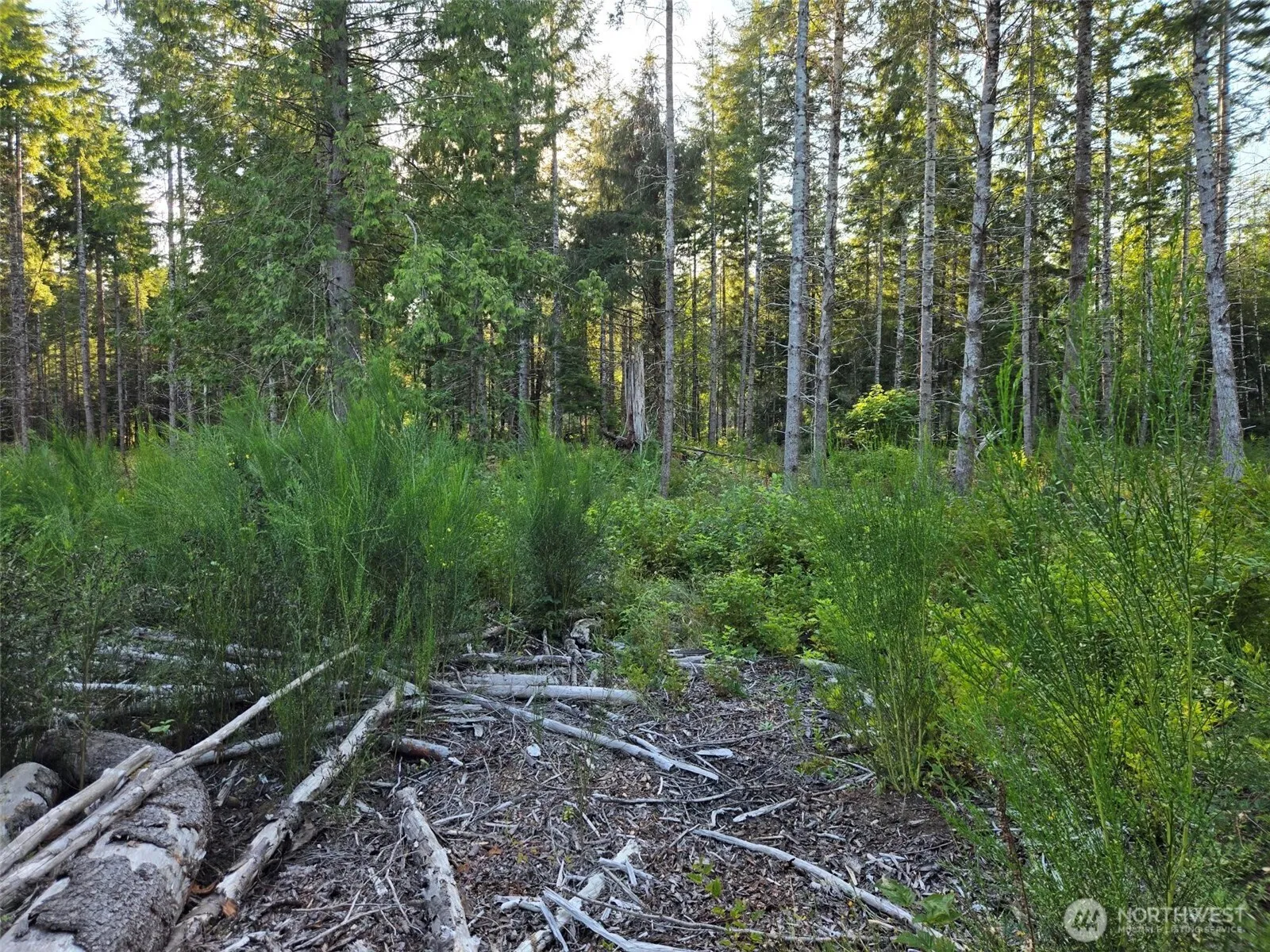Property photo for 15 Xx Kirkpatrick Road, Hoquiam photo 5