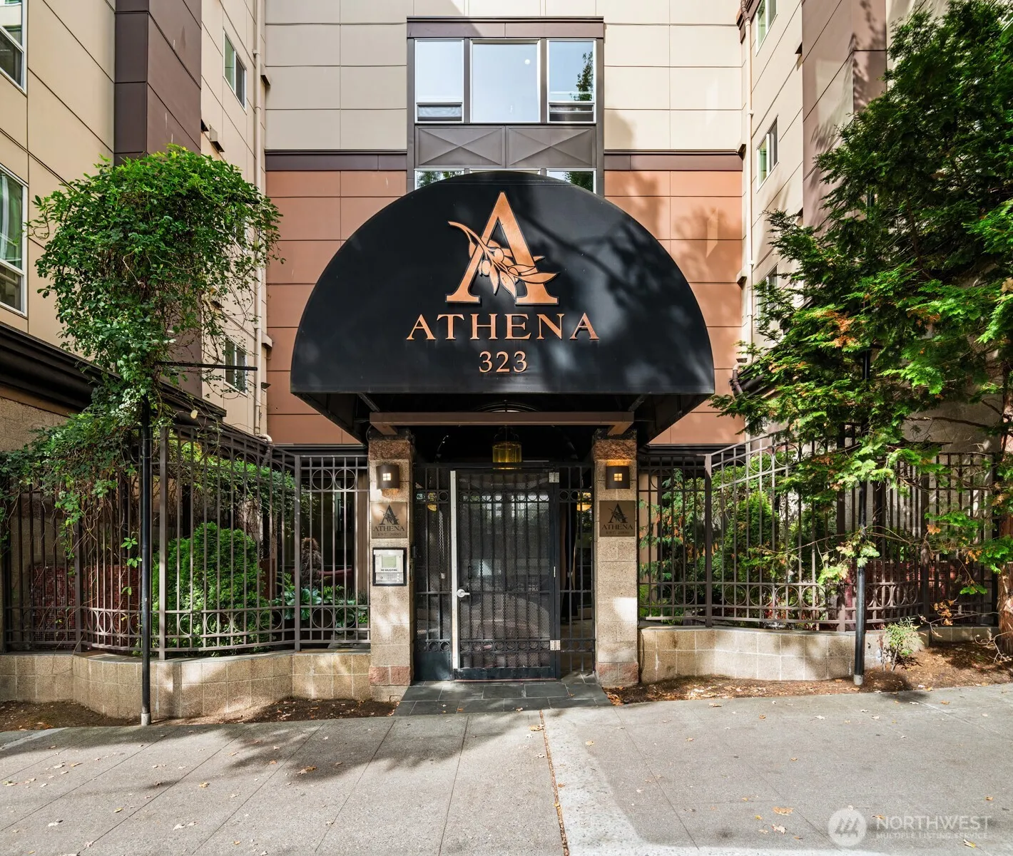 Property photo for 323 Queen Anne Avenue N #202, Seattle photo 2