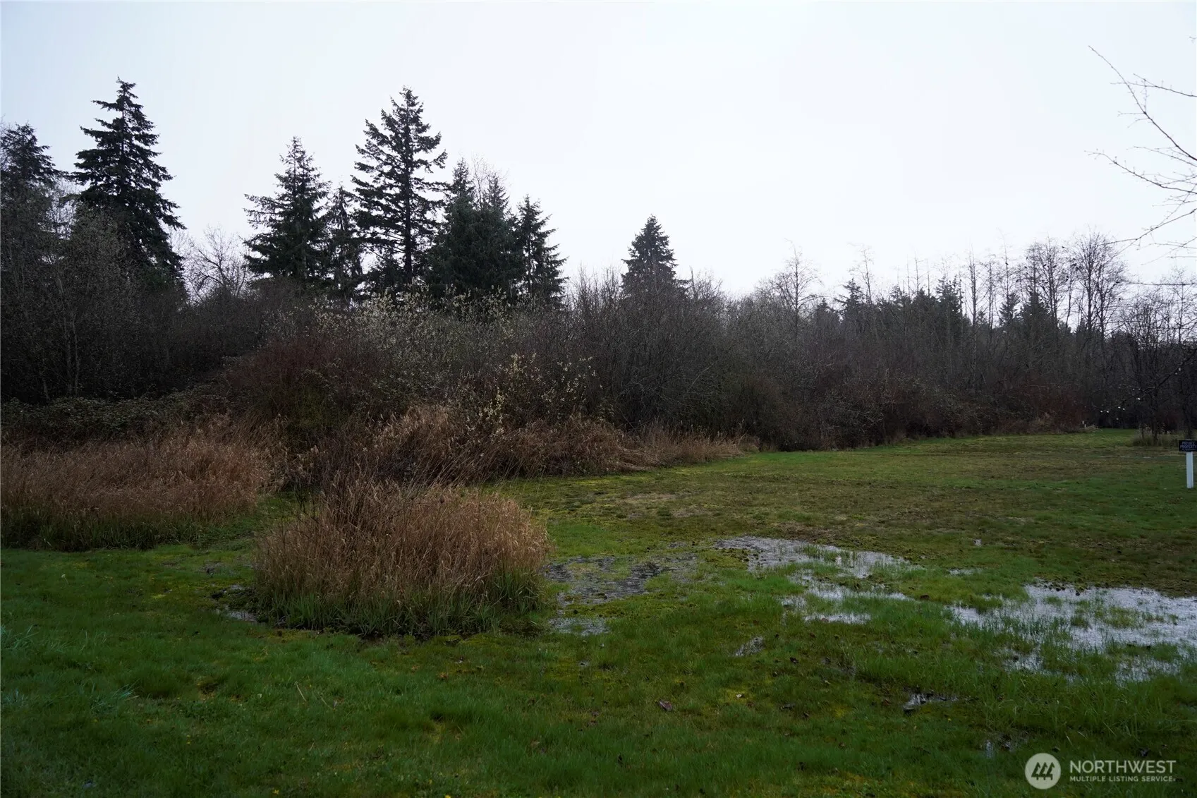 Property photo for 803 112th Street E, Tacoma photo 2
