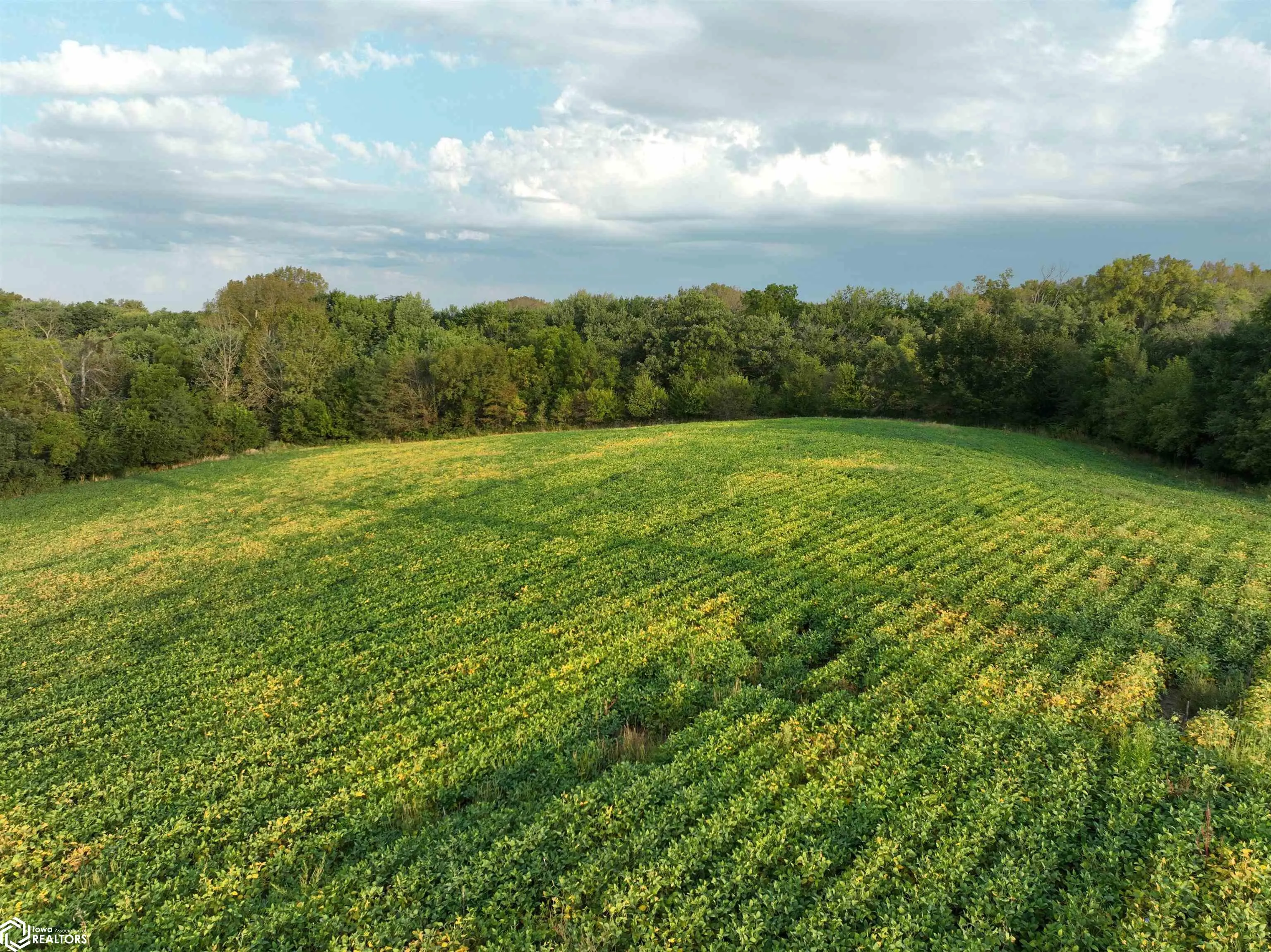 0 43rd Avenue, Norwalk, Iowa 50211, ,Land,For Sale,43rd,6321416