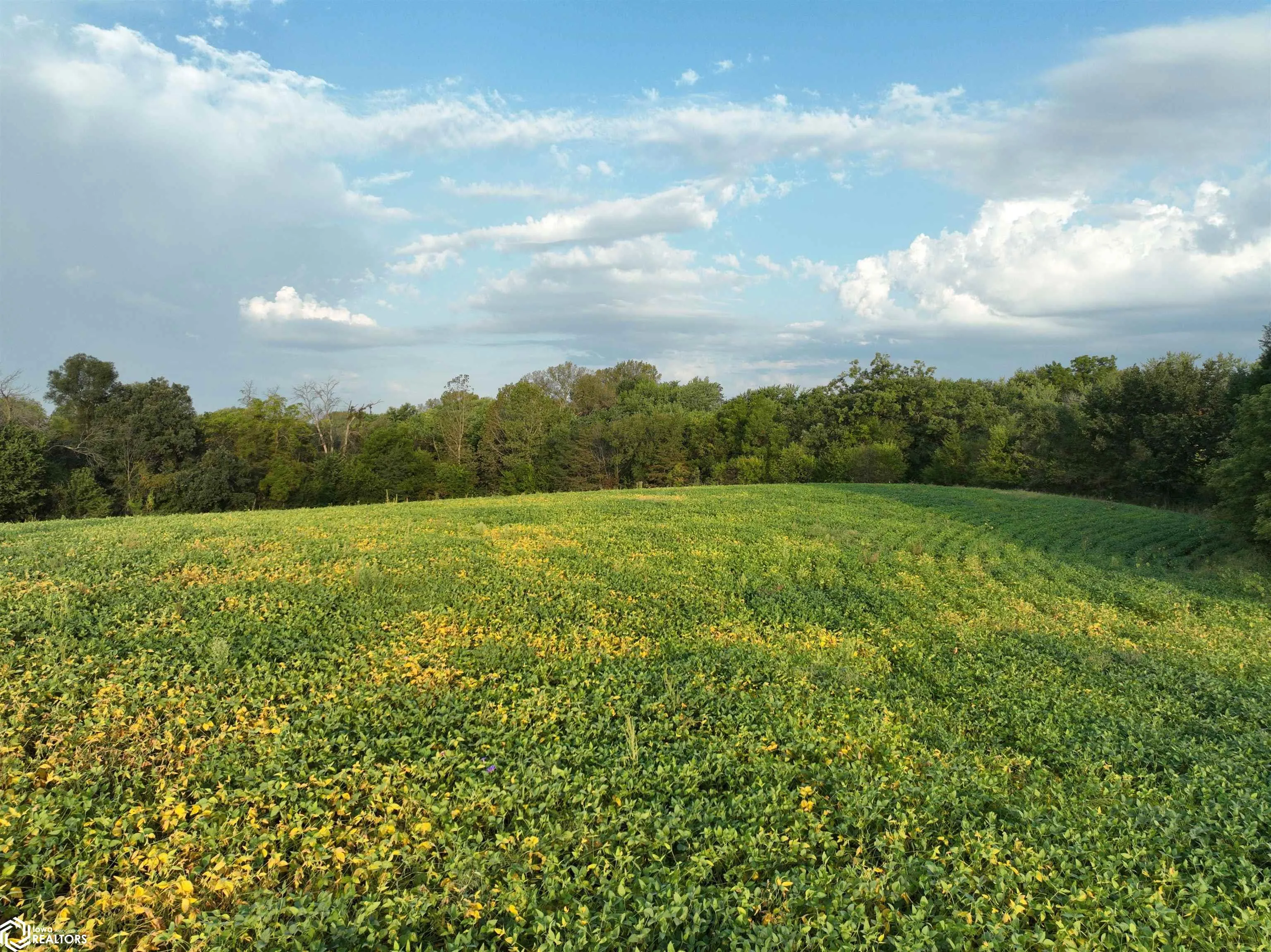 0 43rd Avenue, Norwalk, Iowa 50211, ,Land,For Sale,43rd,6321416