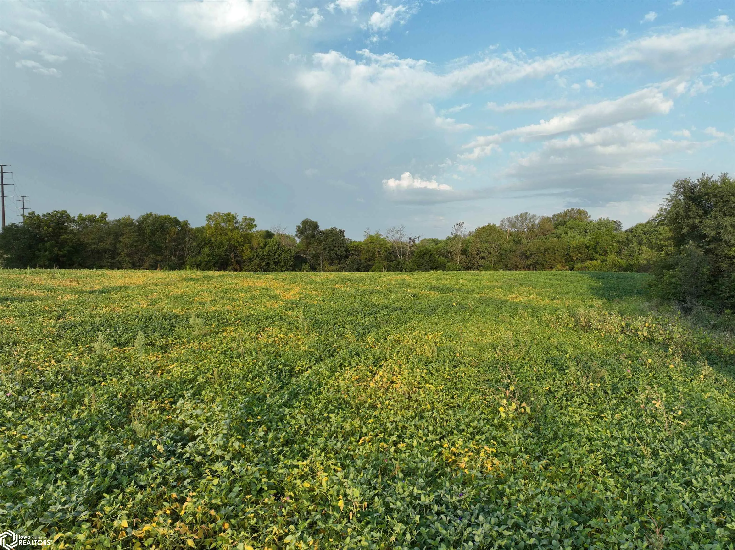0 43rd Avenue, Norwalk, Iowa 50211, ,Land,For Sale,43rd,6321416