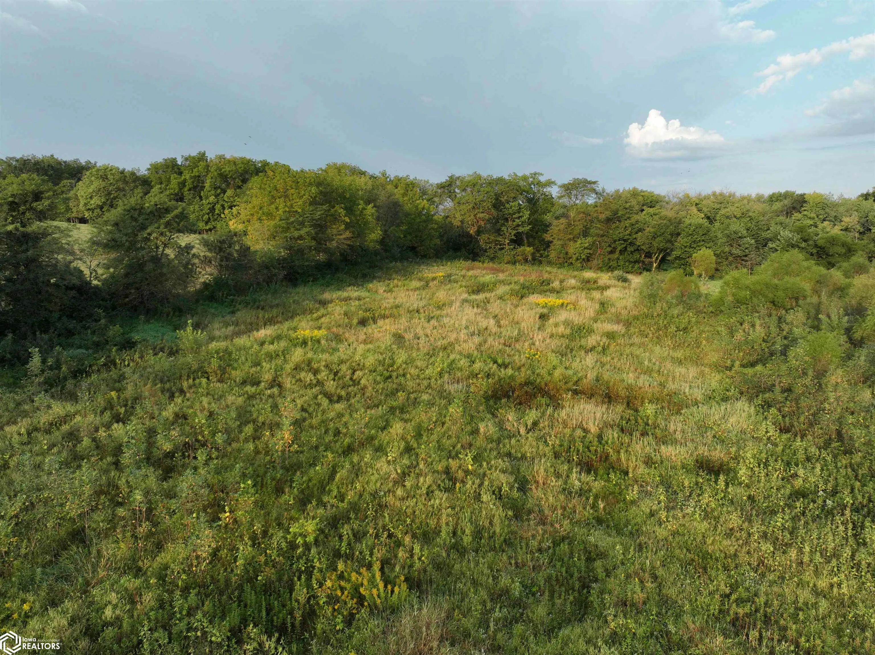 0 43rd Avenue, Norwalk, Iowa 50211, ,Land,For Sale,43rd,6321416
