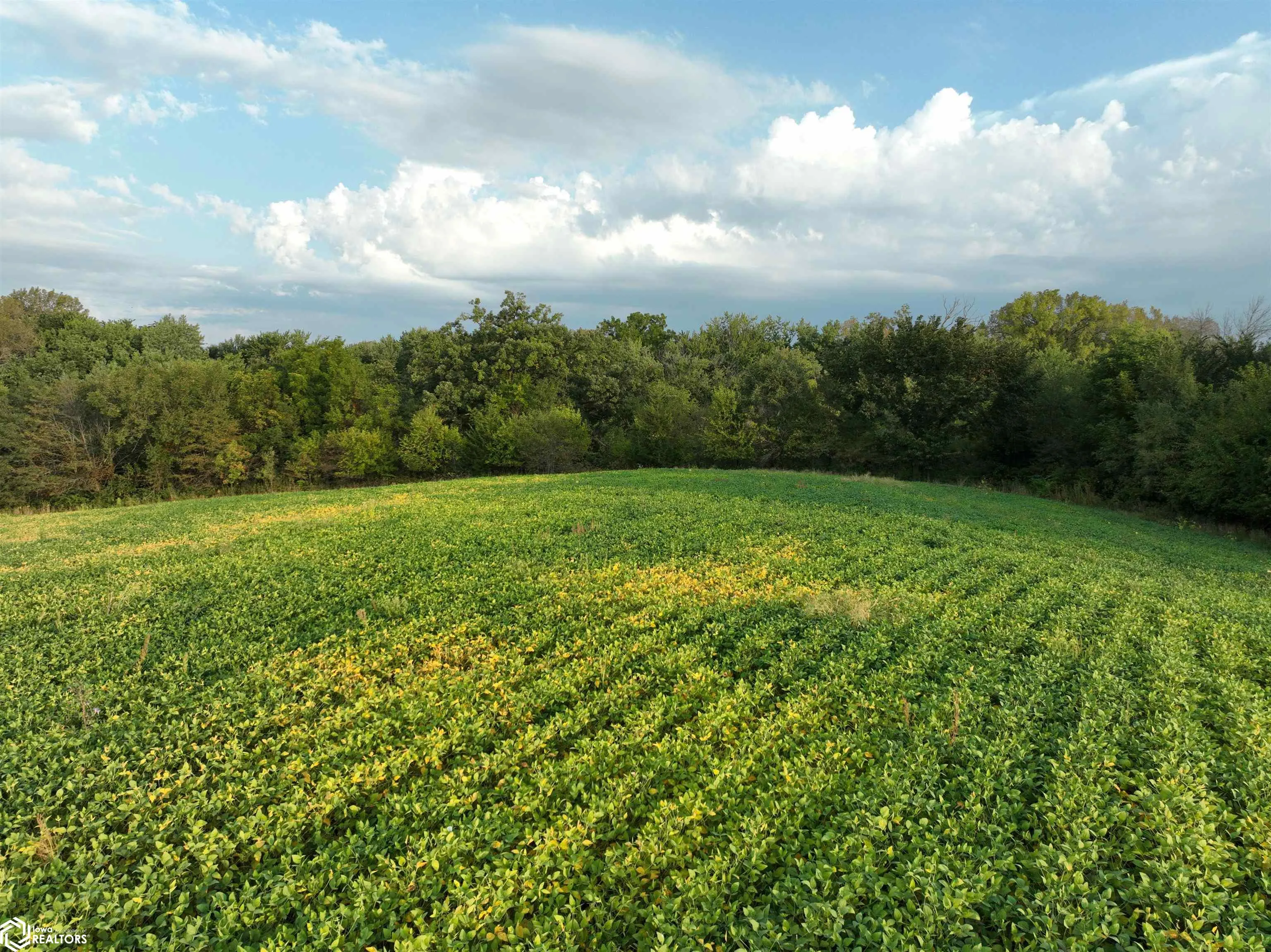 0 43rd Avenue, Norwalk, Iowa 50211, ,Land,For Sale,43rd,6321416