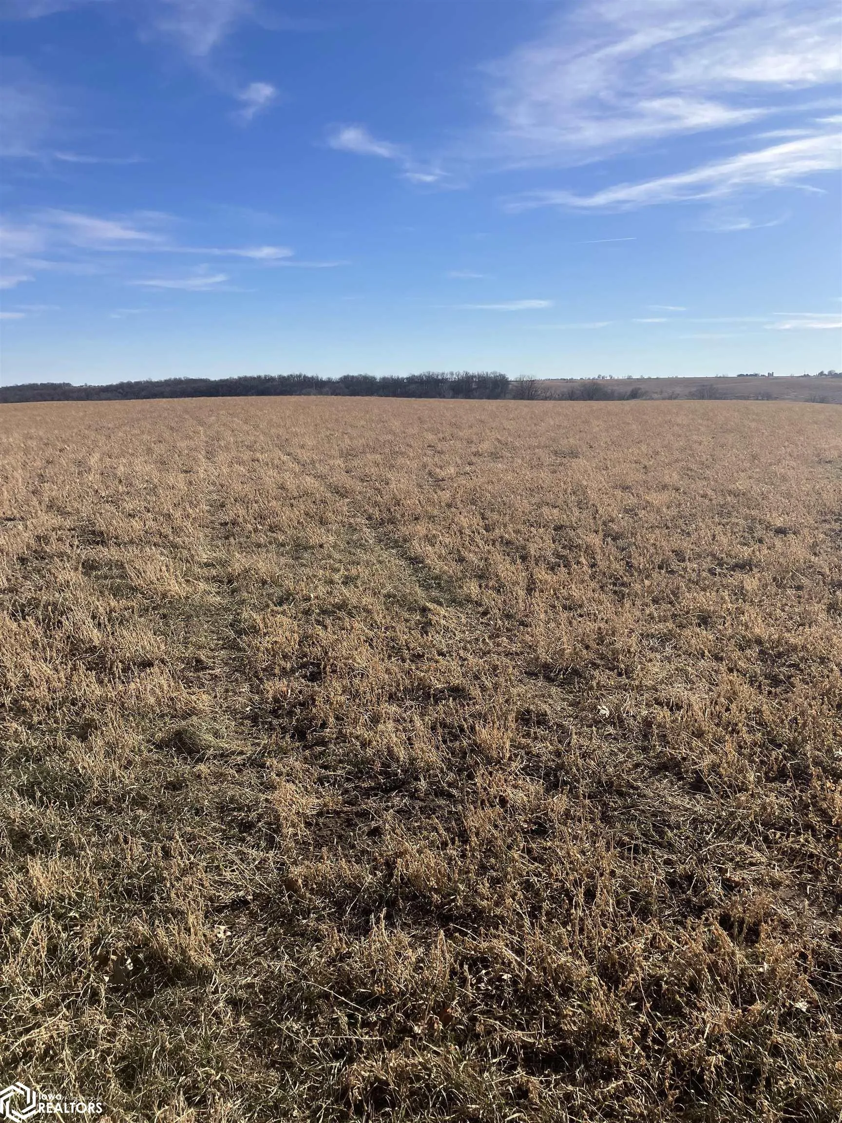 000 140th St S, Corydon, Iowa 50060, ,Land,For Sale,140th St,6324340